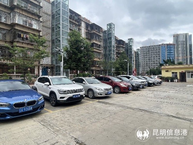 社区活动如何成为邻里间温馨纽带的力量源泉？