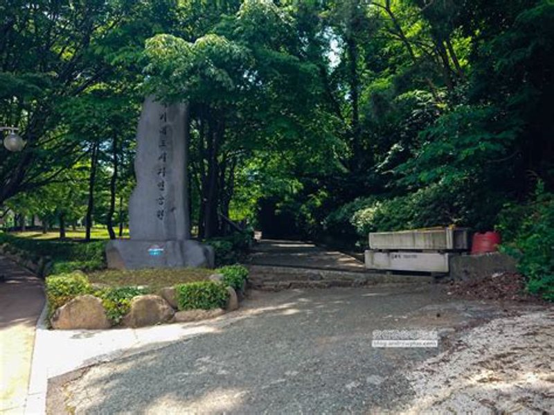 社区卫生：守护健康的第一道防线